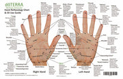 Hand & Foot Reflexology on Cardstock: 8.5x5.5 Sheet - Oil Life