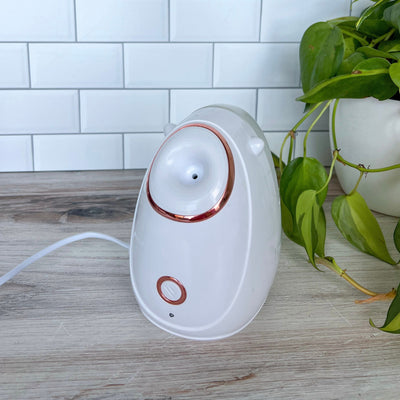 Facial Steamer
