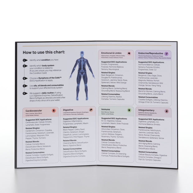 Body Systems Essential Oils Reference Chart