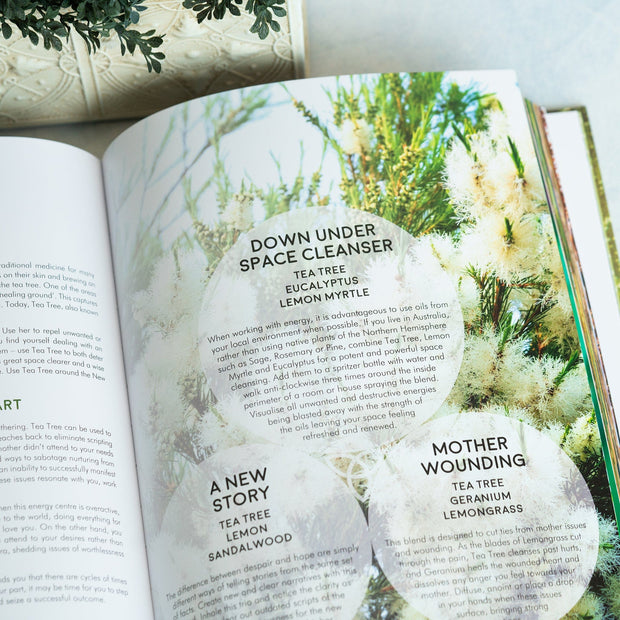 Gifts of the Essential Oils - 2nd Edition