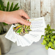 Every Oil w/ Ring - Essential Oil Cards