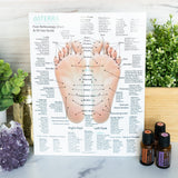 Hand & Foot Reflexology Chart - Large 8.5"x11" Size