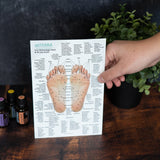 Hand & Foot Reflexology Chart - Small 8.5"x5.5" Size