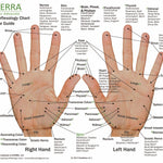 Hand & Foot Reflexology Cardstock 8.5x11 - Oil Life