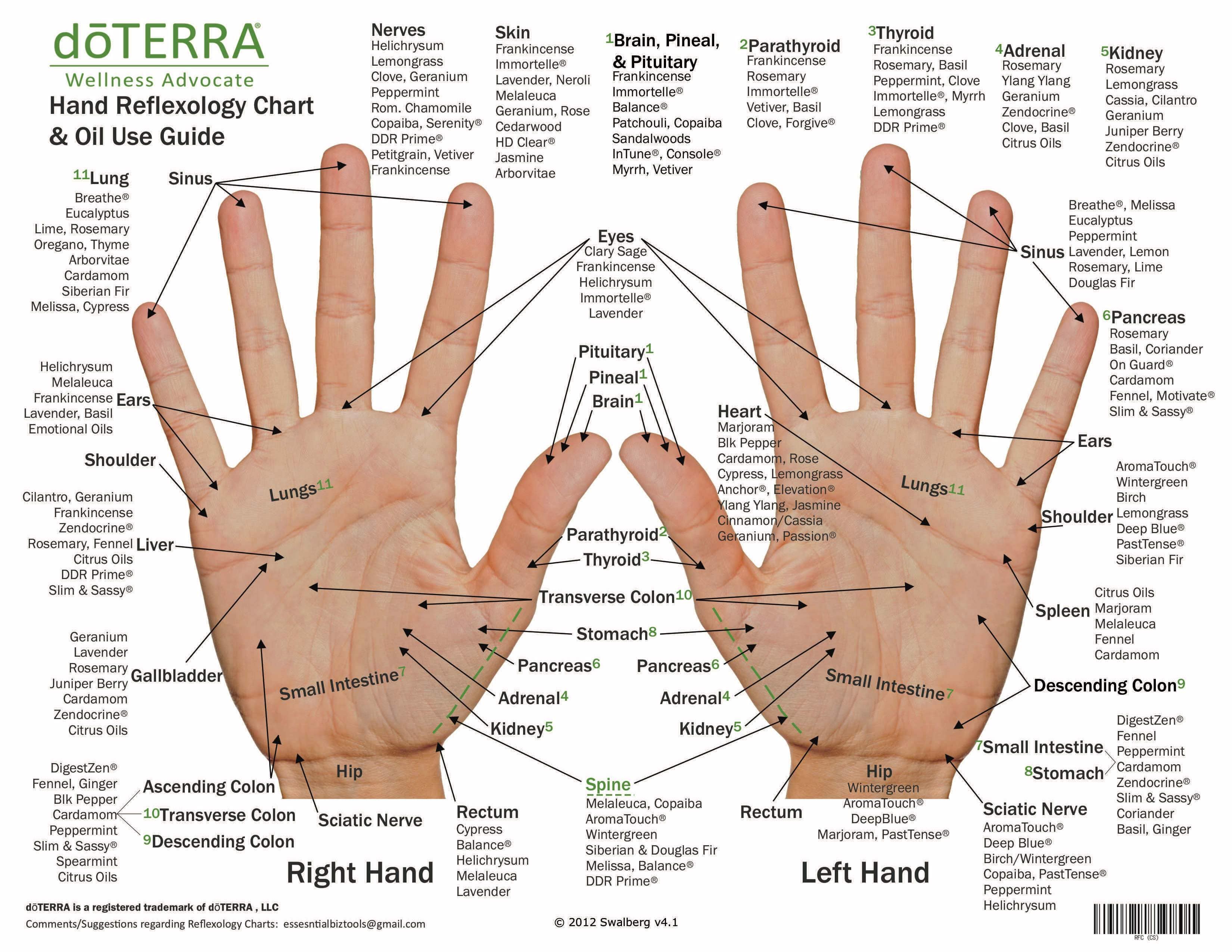 Hand & Foot Reflexology Cardstock 8.5x11 - Oil Life