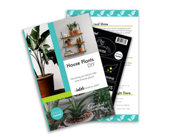 House Plants DIY - Recipes & Labels