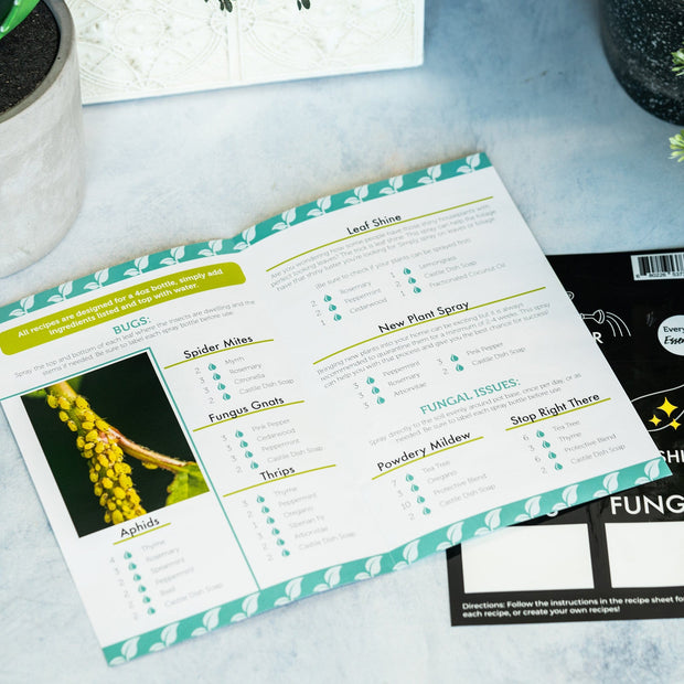 House Plants DIY - Recipes & Labels