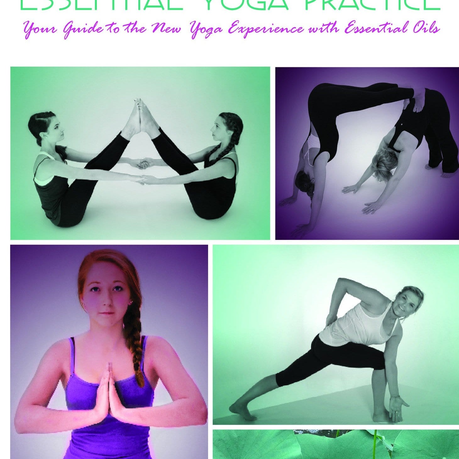 DVD: Essential Yoga Practice - Oil Life