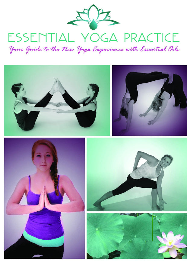 DVD: Essential Yoga Practice - Oil Life