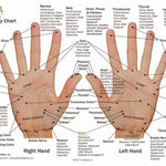 Hand & Foot Reflexology on Cardstock: 8.5x5.5 Sheet - Oil Life