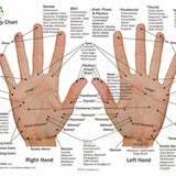 Hand & Foot Reflexology on Cardstock: 8.5x5.5 Sheet - Oil Life