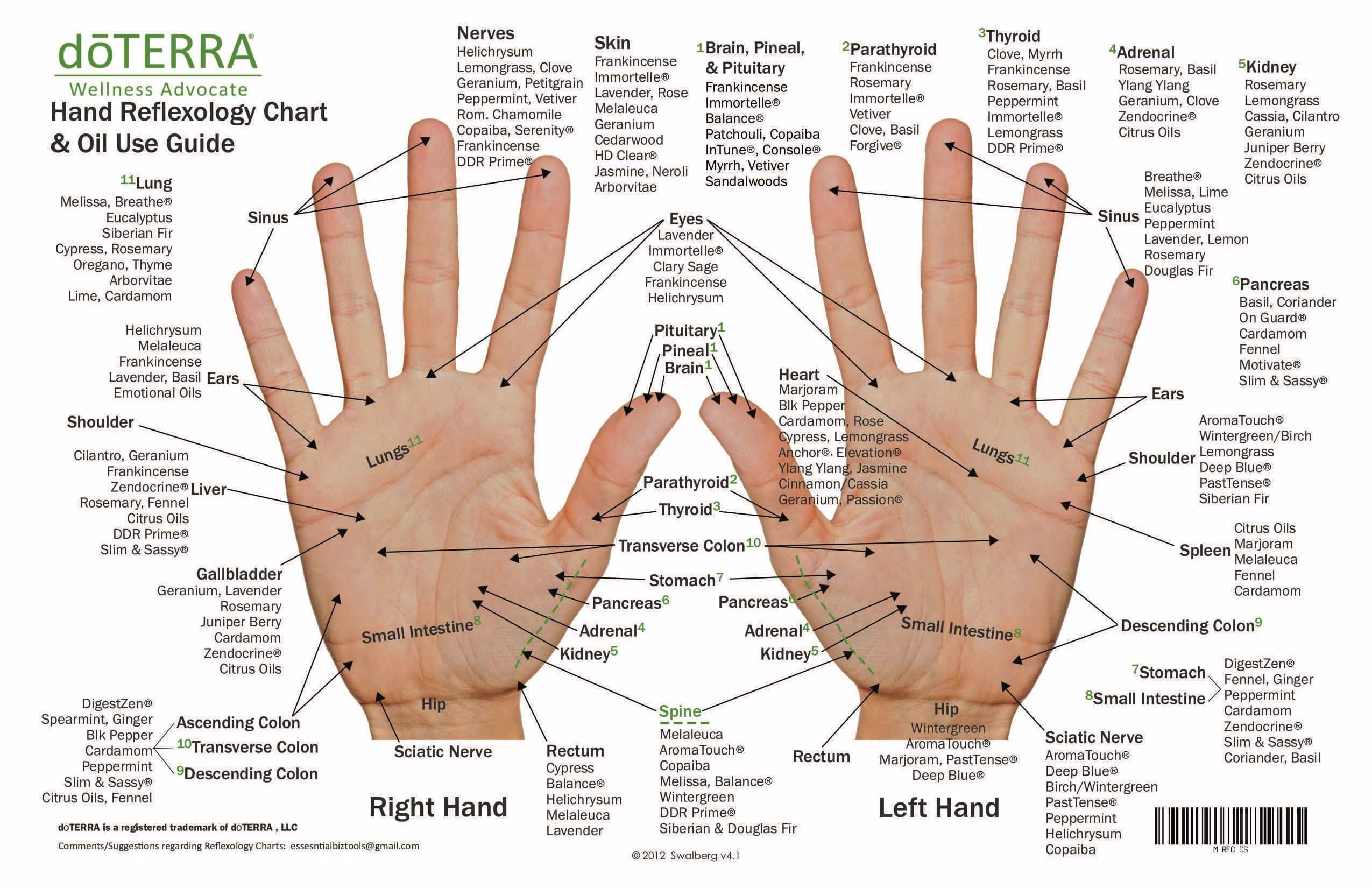 Hand & Foot Reflexology on Cardstock: 8.5x5.5 Sheet - Oil Life