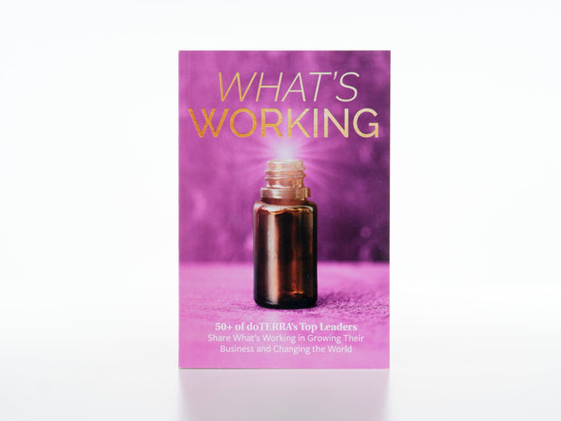 What's Working: Business Building Book
