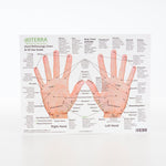 Hand & Foot Reflexology Cardstock 8.5x11 - Oil Life