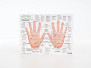 Hand & Foot Reflexology Cardstock 8.5x11 - Oil Life