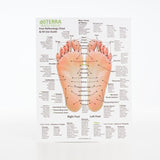 Hand & Foot Reflexology Cardstock 8.5x11 - Oil Life