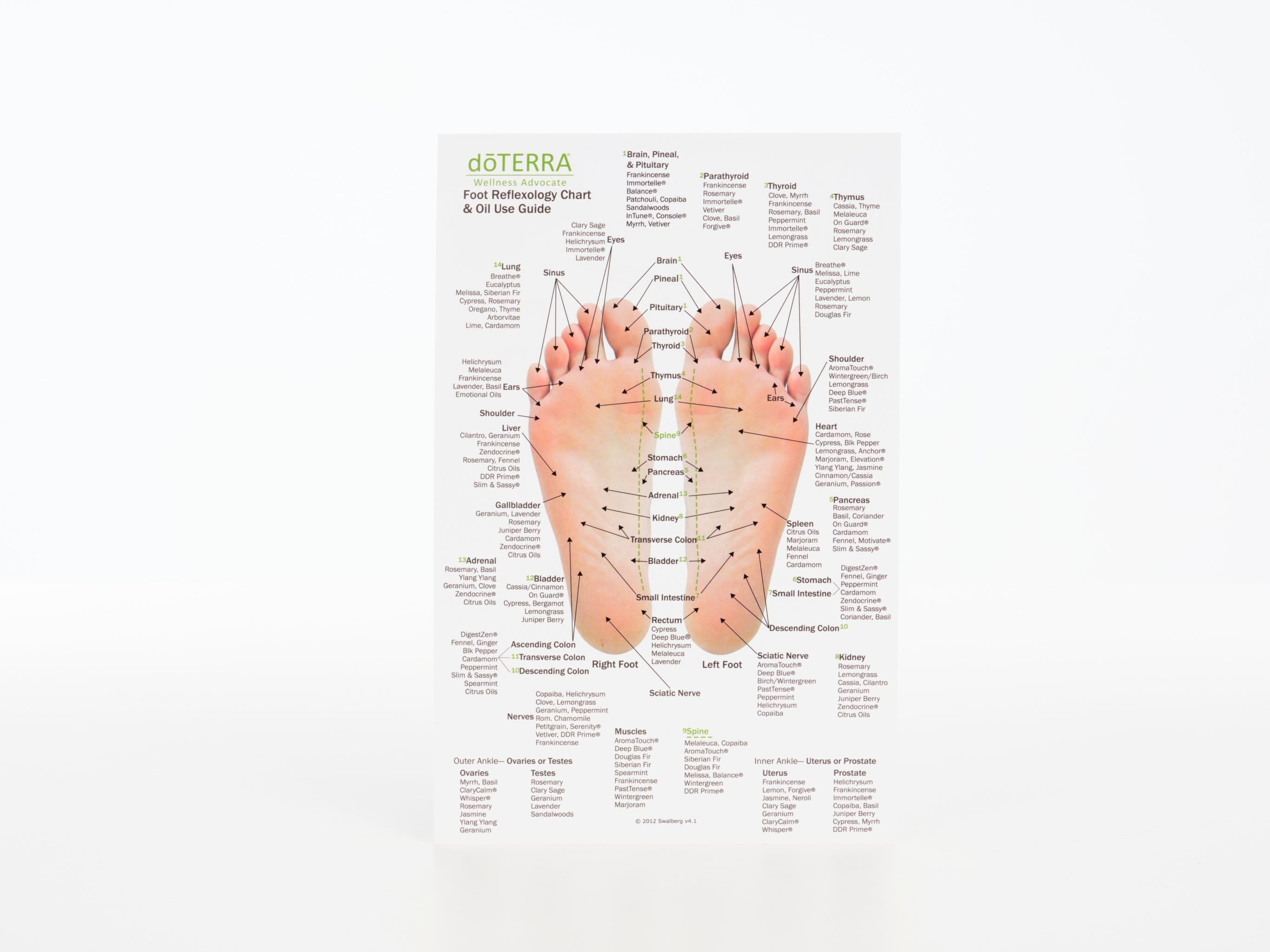 Hand & Foot Reflexology on Cardstock: 8.5x5.5 Sheet - Oil Life