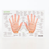 Hand & Foot Reflexology on Cardstock: 8.5x5.5 Sheet - Oil Life