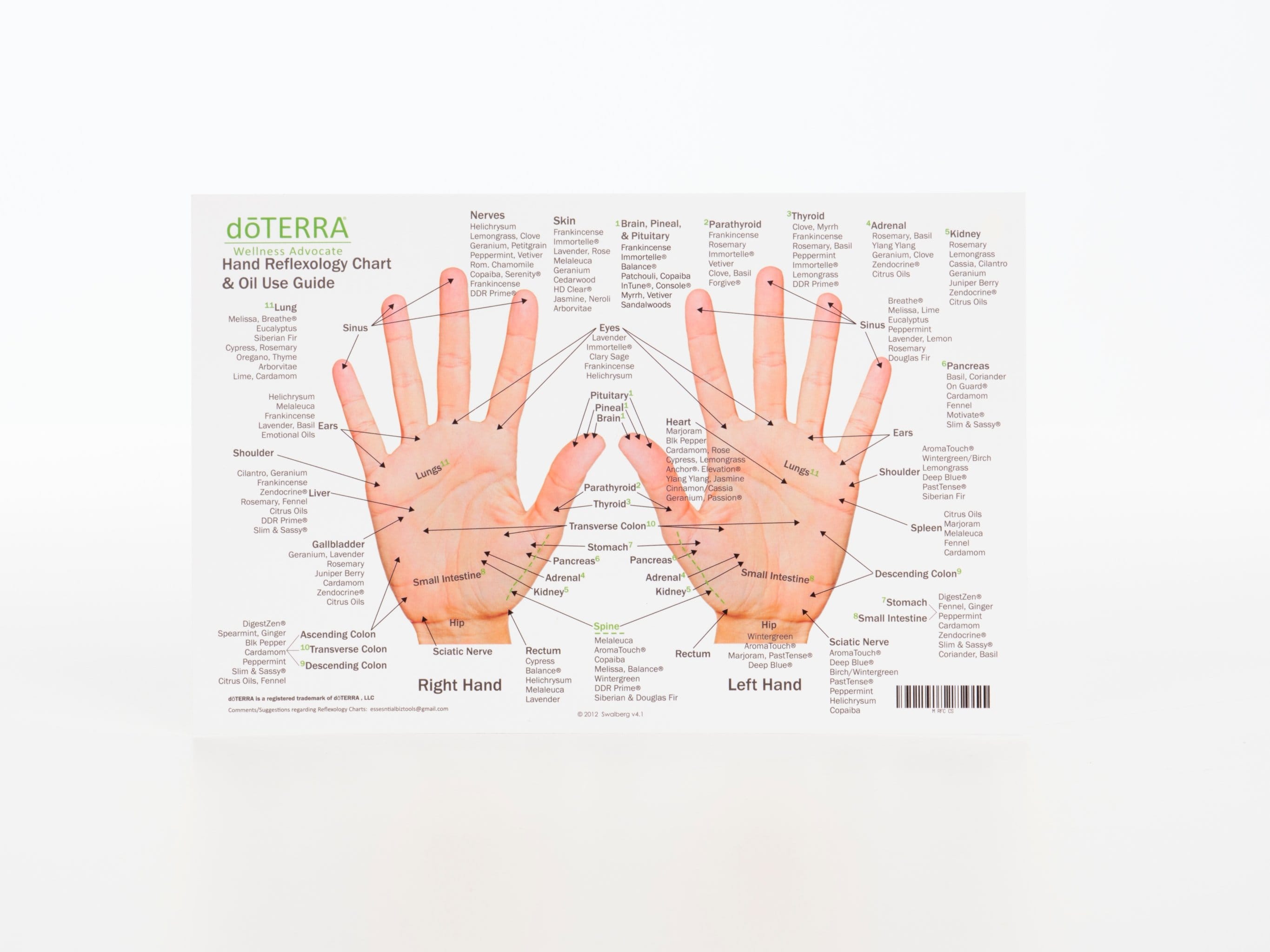 Hand & Foot Reflexology on Cardstock: 8.5x5.5 Sheet - Oil Life