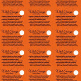 Single EOs Sample Cards — 5 pack - Oil Life