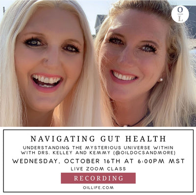 Navigating Gut Health Workshop - Recording