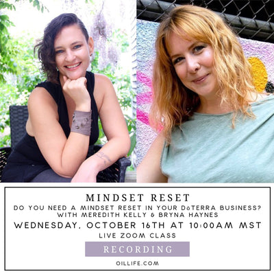 Mindset Reset Workshop - Recording