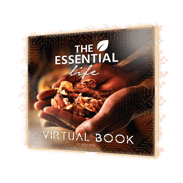 The Essential Life 7th Edition [Virtual Book]