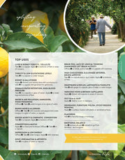 The Essential Life Book 8th Edition